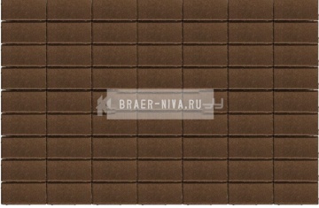 Тротуарная плитка Прямоугольник 200х100х40 коричневый