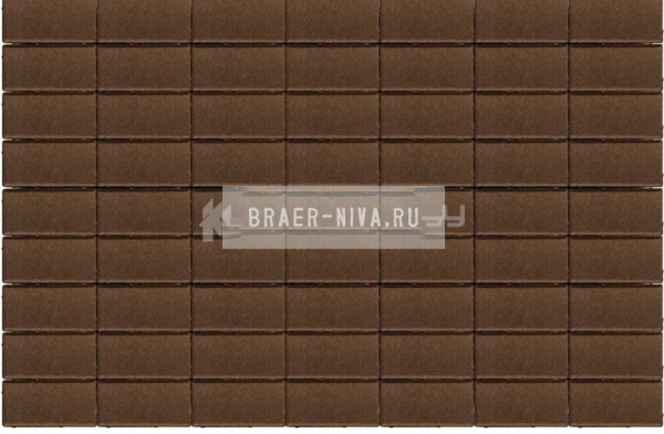 Тротуарная плитка Прямоугольник 200х100х40 коричневый